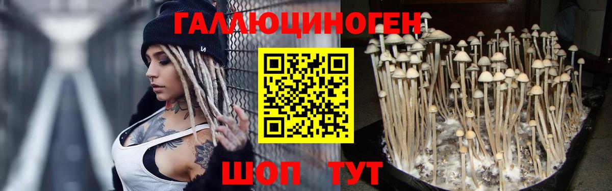 Галлюциногенные грибы Cubensis  Псилоцибиновые грибы мицелий  Феодосия  Вход с VPN 